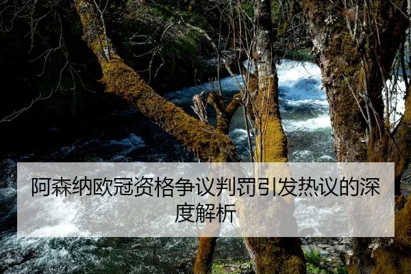 阿森纳欧冠资格争议判罚引发热议的深度解析